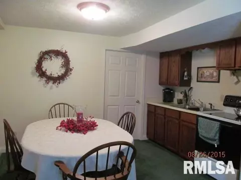 482 E Town Hall Rd, Metamora, IL 61548 photo 21