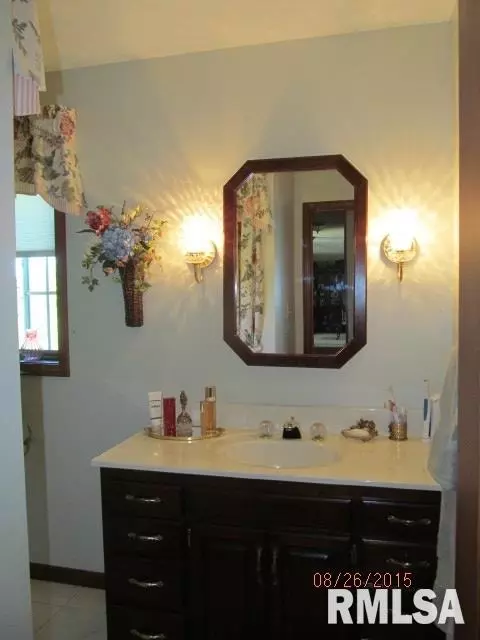 482 E Town Hall Rd, Metamora, IL 61548 photo 16