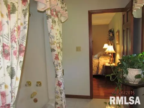 482 E Town Hall Rd, Metamora, IL 61548 photo 14