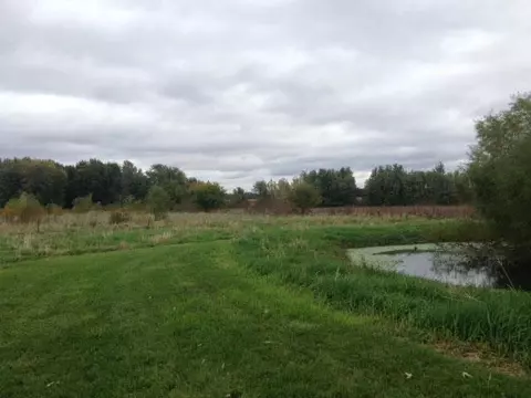 19555 E 2000th Rd, Bushnell, IL 61422 photo 18