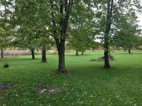 19555 E 2000th Rd, Bushnell, IL 61422 photo 17