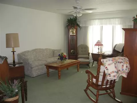 223 Scotch Pine Dr, Macomb, IL 61455 photo 11
