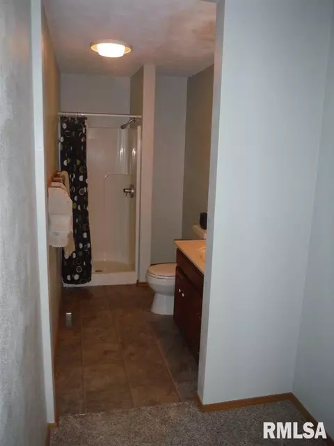 1325 E Myrtle, Canton, IL 61520 photo 29