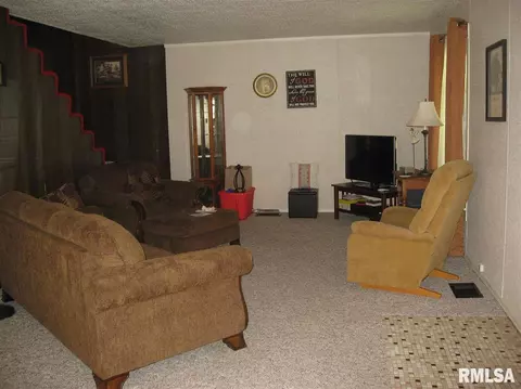 108 E Seymour St, Sciota, IL 61475 photo 6
