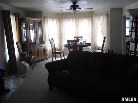 108 E Seymour St, Sciota, IL 61475 photo 8