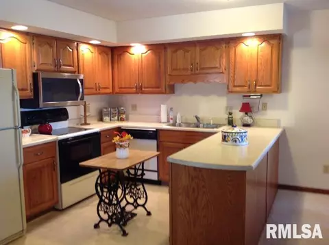200 Scotch Pine Dr, Macomb, IL 61455 photo 5