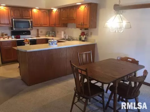 200 Scotch Pine Dr, Macomb, IL 61455 photo 4