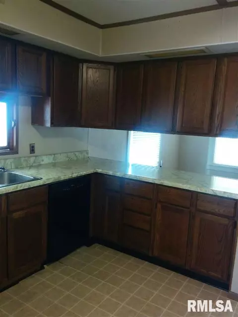 206 E Mcgowan, Industry, IL 61440 photo 9