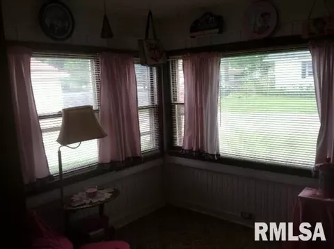 206 E Mcgowan, Industry, IL 61440 photo 15