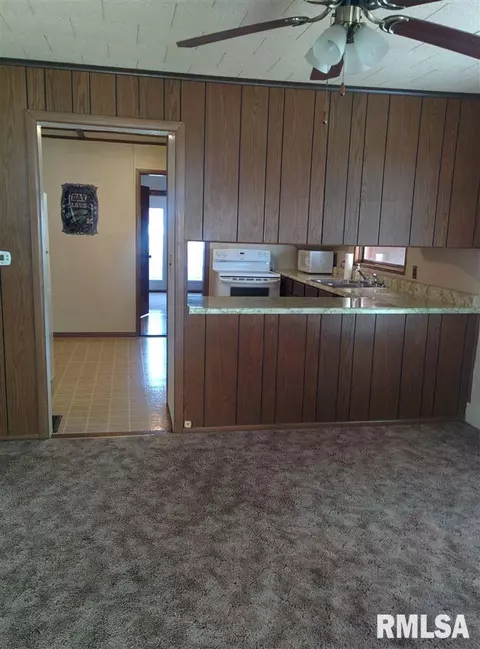 206 E Mcgowan, Industry, IL 61440 photo 6