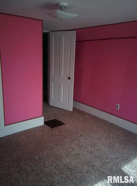 206 E Mcgowan, Industry, IL 61440 photo 14