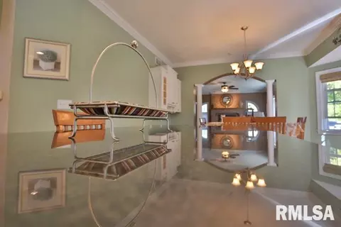 11214 N Jonathans Way, Dunlap, IL 61525 photo 10
