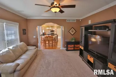 11214 N Jonathans Way, Dunlap, IL 61525 photo 12