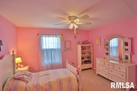 11214 N Jonathans Way, Dunlap, IL 61525 photo 22