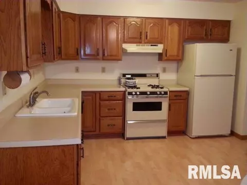1445 E Myrtle, Canton, IL 61520 photo 25