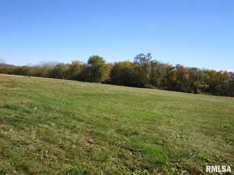 12928 N Evans Mill Rd, Dunlap, IL 61525 photo 9