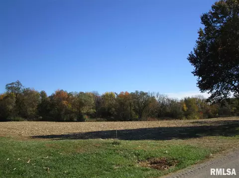 12928 N Evans Mill Rd, Dunlap, IL 61525 photo 5