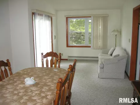 83 Oak Ln, Avon, IL 61415 photo 11