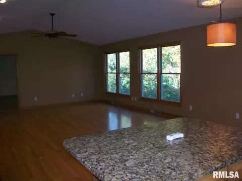 1309 E Juniper, Canton, IL 61520 photo 19