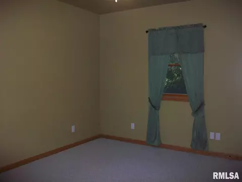 1309 E Juniper, Canton, IL 61520 photo 25