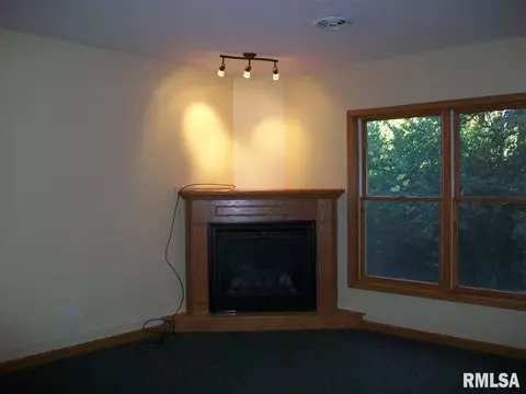 1309 E Juniper, Canton, IL 61520 photo 32