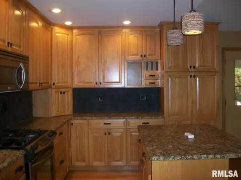 1309 E Juniper, Canton, IL 61520 photo 21