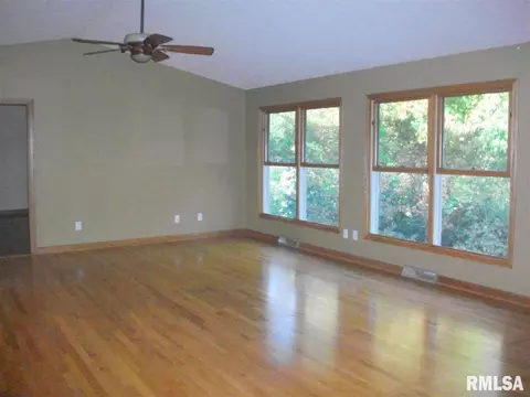 1309 E Juniper, Canton, IL 61520 photo 11