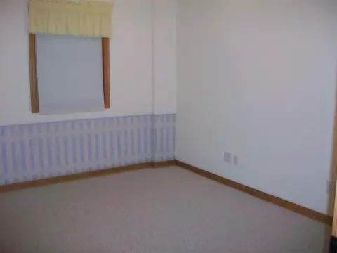 1309 E Juniper, Canton, IL 61520 photo 24