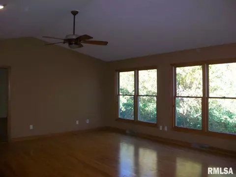1309 E Juniper, Canton, IL 61520 photo 13