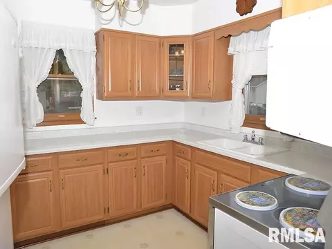 1009 S Chestnut St, Delavan, IL 61734 photo 8