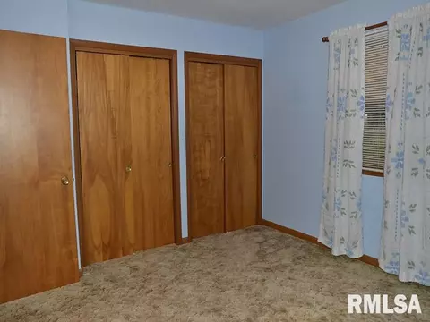 1009 S Chestnut St, Delavan, IL 61734 photo 18