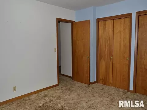 1009 S Chestnut St, Delavan, IL 61734 photo 17
