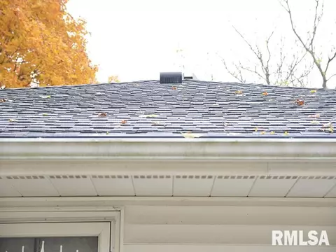 1009 S Chestnut St, Delavan, IL 61734 photo 25
