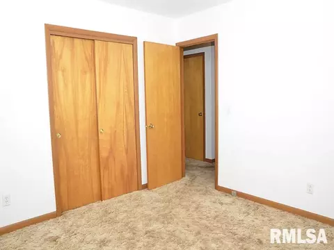 1009 S Chestnut St, Delavan, IL 61734 photo 13