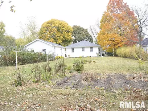 1009 S Chestnut St, Delavan, IL 61734 photo 4
