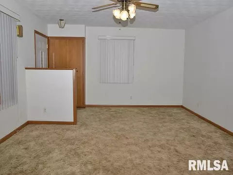 1009 S Chestnut St, Delavan, IL 61734 photo 9