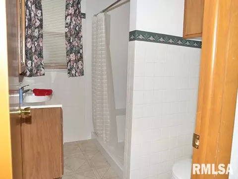 1009 S Chestnut St, Delavan, IL 61734 photo 15