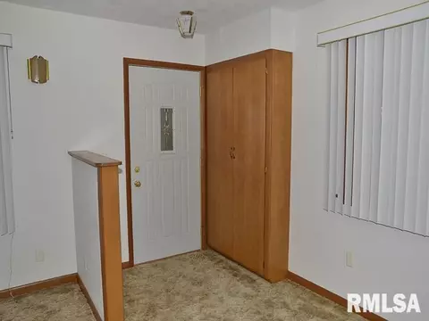 1009 S Chestnut St, Delavan, IL 61734 photo 20