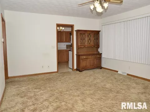 1009 S Chestnut St, Delavan, IL 61734 photo 11