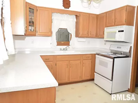 1009 S Chestnut St, Delavan, IL 61734 photo 7