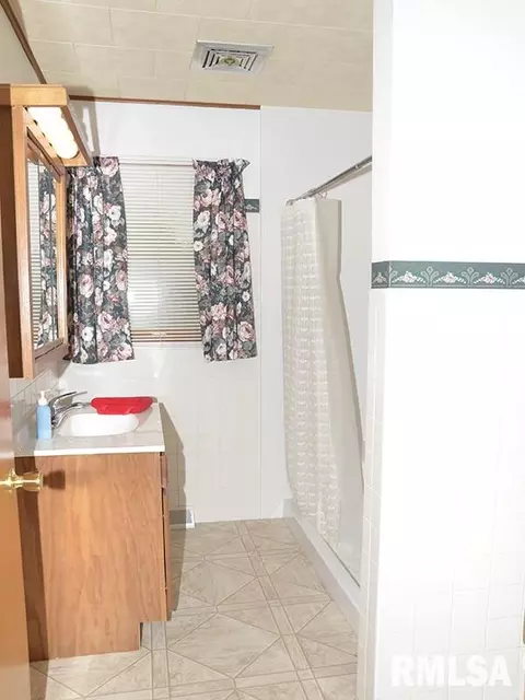 1009 S Chestnut St, Delavan, IL 61734 photo 14