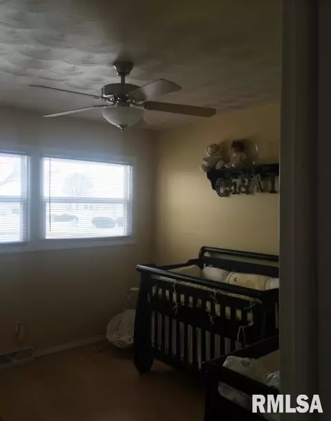 507 E Husseman St, Roanoke, IL 61561 photo 11