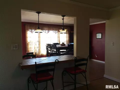 507 E Husseman St, Roanoke, IL 61561 photo 6