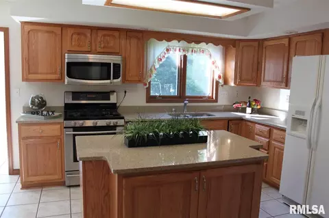 12507 N Cedar Bluff Dr, Dunlap, IL 61525 photo 3