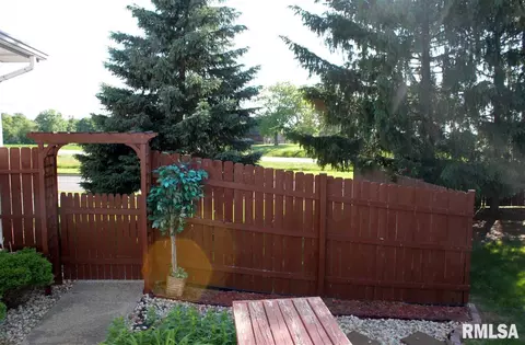 12507 N Cedar Bluff Dr, Dunlap, IL 61525 photo 23