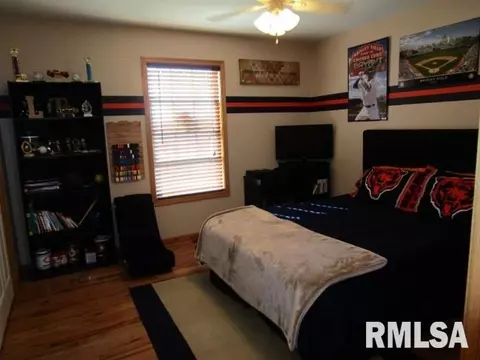 203 Bittersweet Ave, Germantown Hills, IL 61548 photo 14