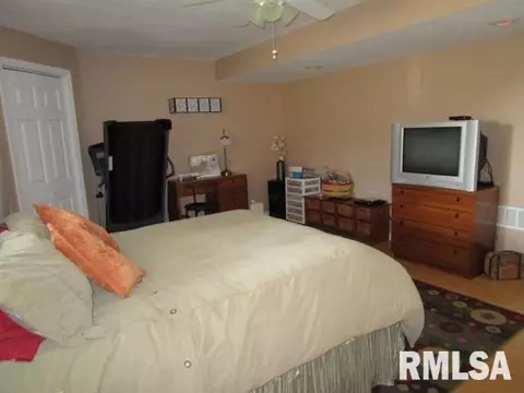 203 Bittersweet Ave, Germantown Hills, IL 61548 photo 9