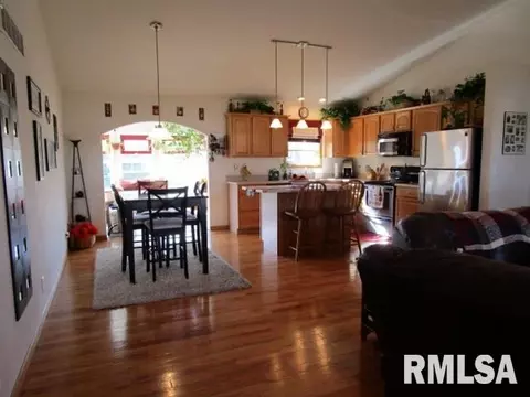 203 Bittersweet Ave, Germantown Hills, IL 61548 photo 6