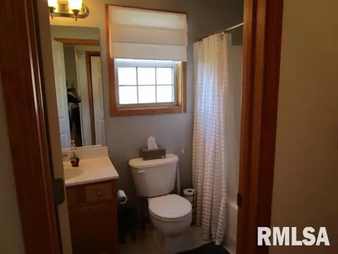 203 Bittersweet Ave, Germantown Hills, IL 61548 photo 17