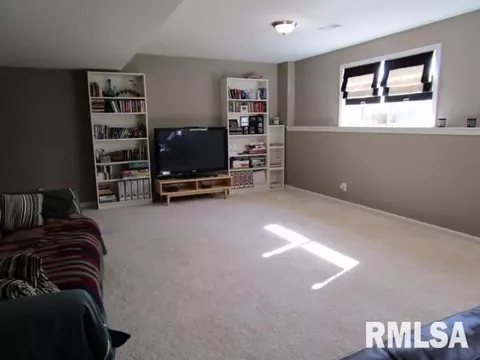 203 Bittersweet Ave, Germantown Hills, IL 61548 photo 18